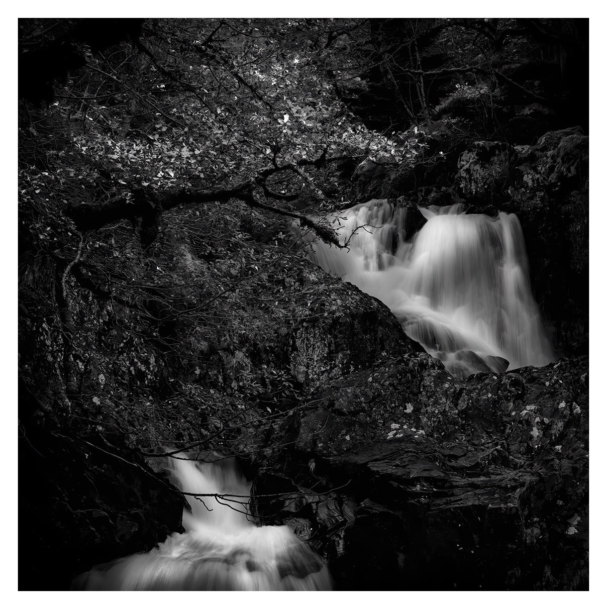 CASCADES IN OAK