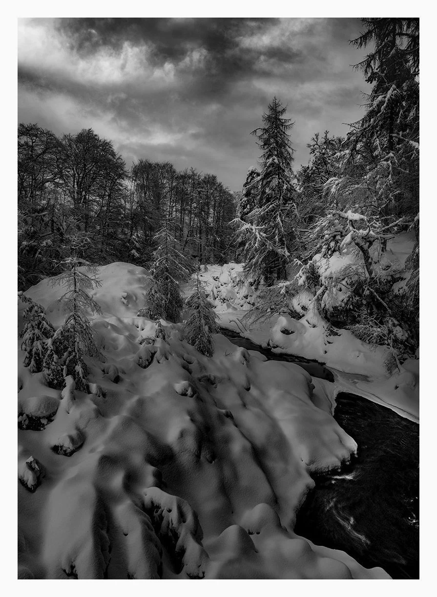 SHADES OF WINTER