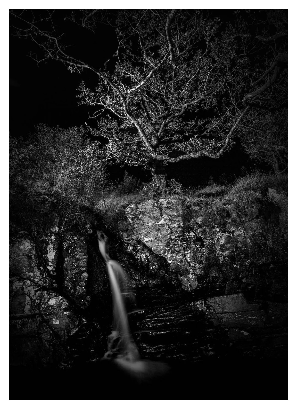 NIGHT FALL 
