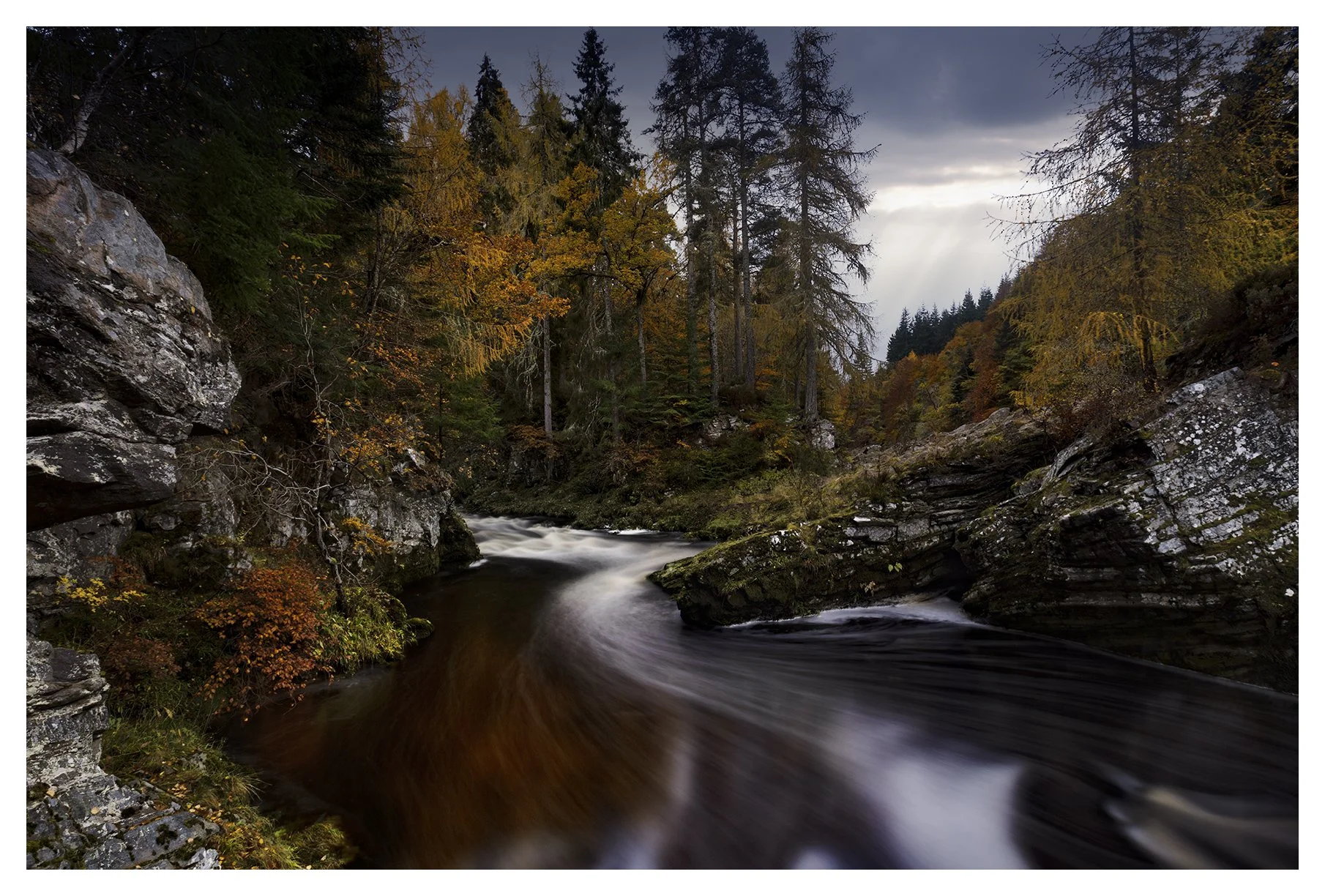 AUTUMN DIVIE