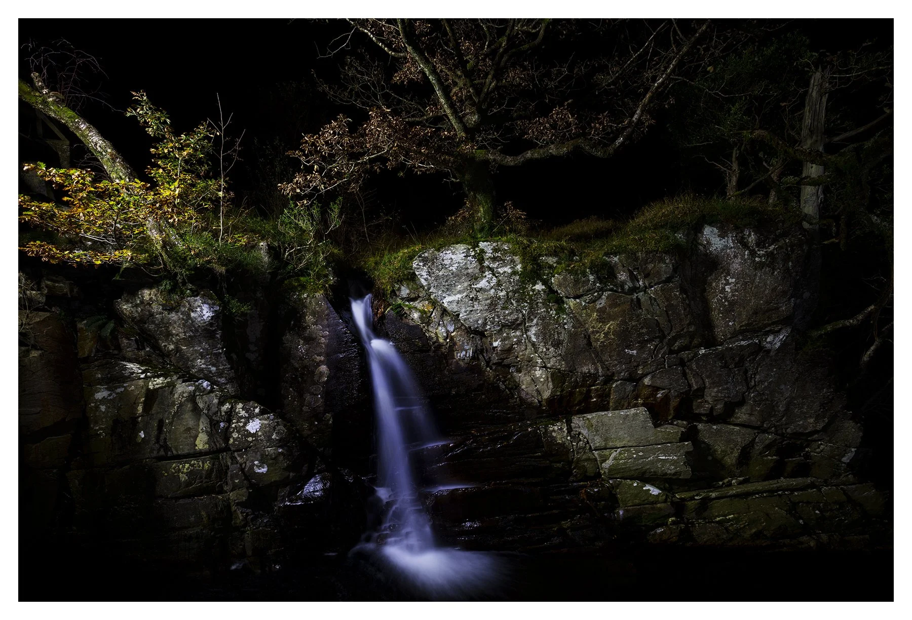 AUTUMN NOCTURN