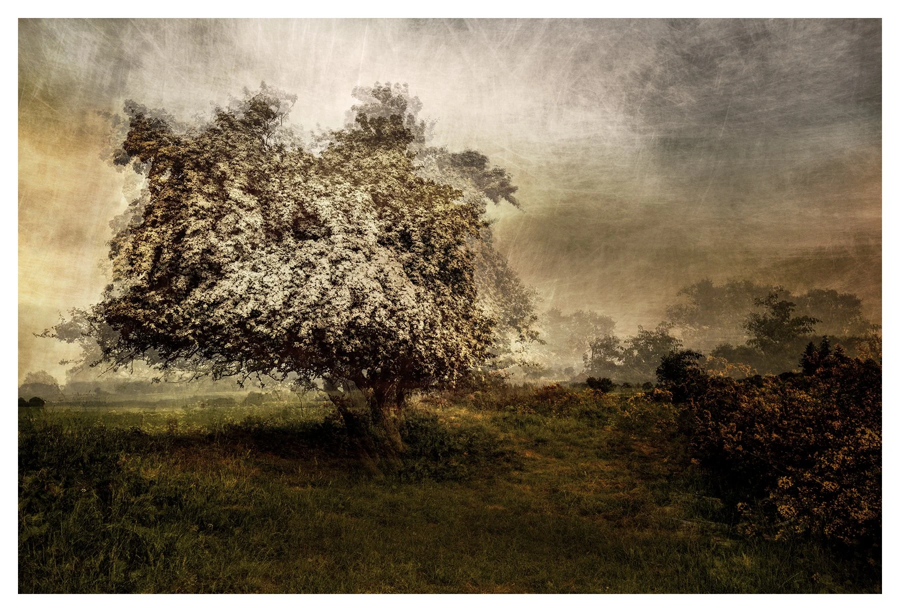 VERNAL MOOD#2
