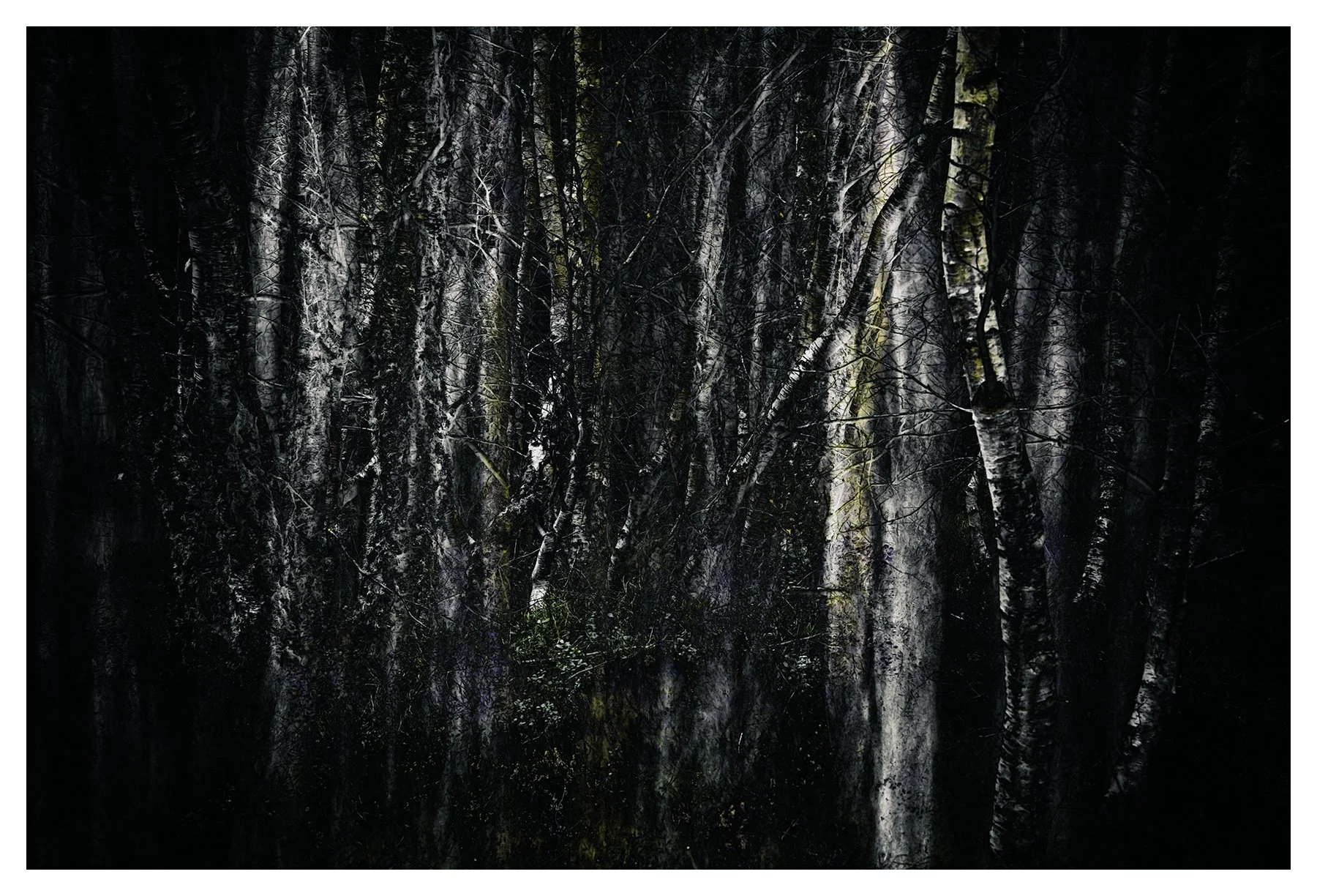 TANGLE