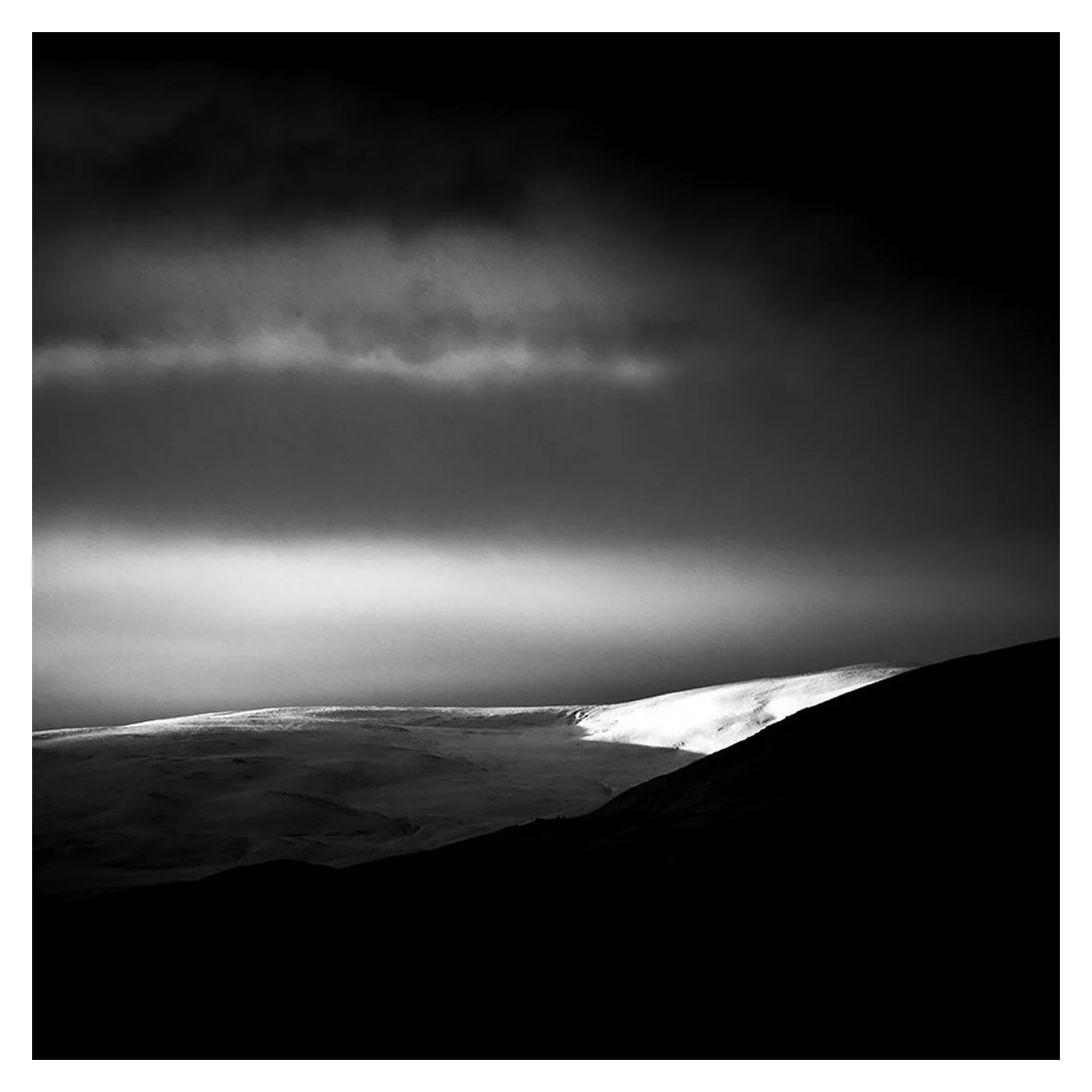 DAVA SHARD