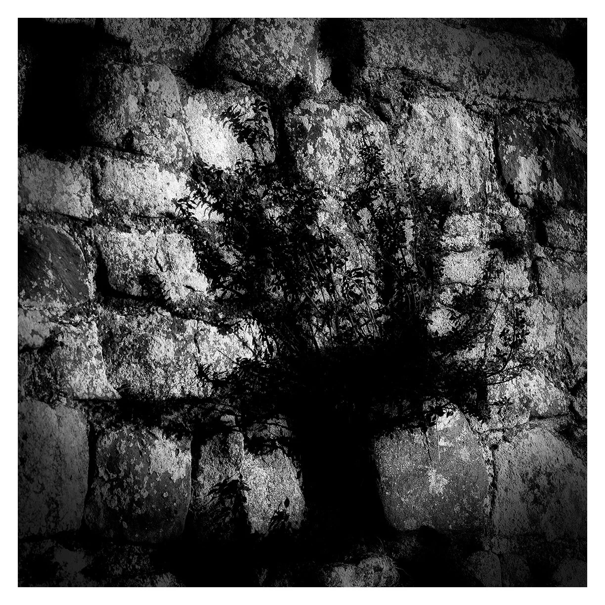 STONEBREAKER