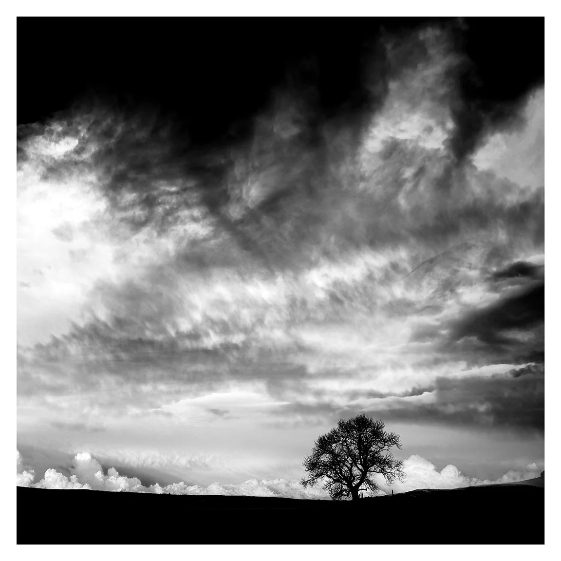 SKY FURY