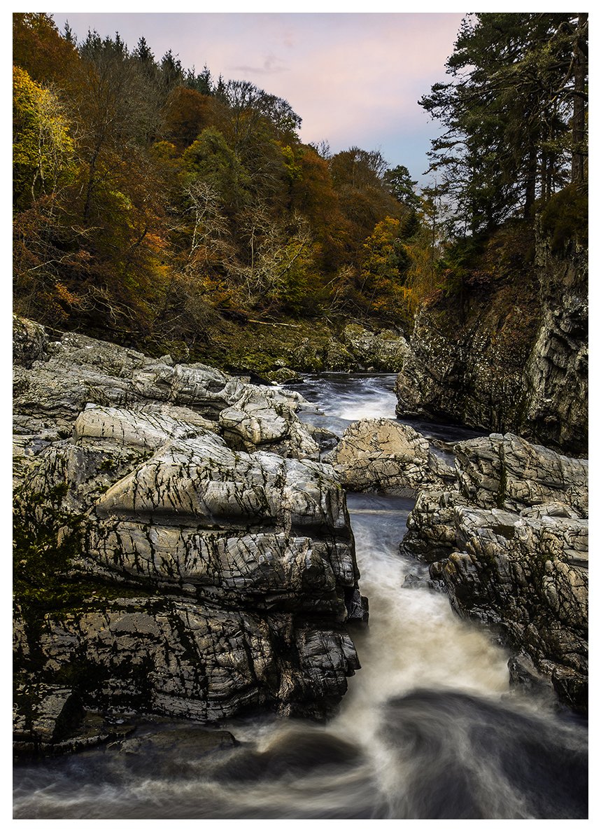AUTUMN NARROWING 