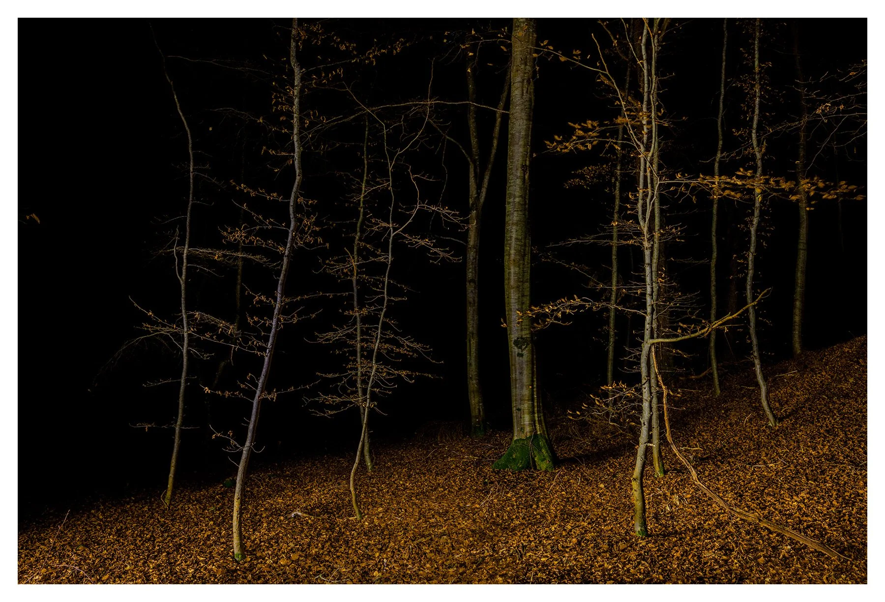 AUTUMN DANCE