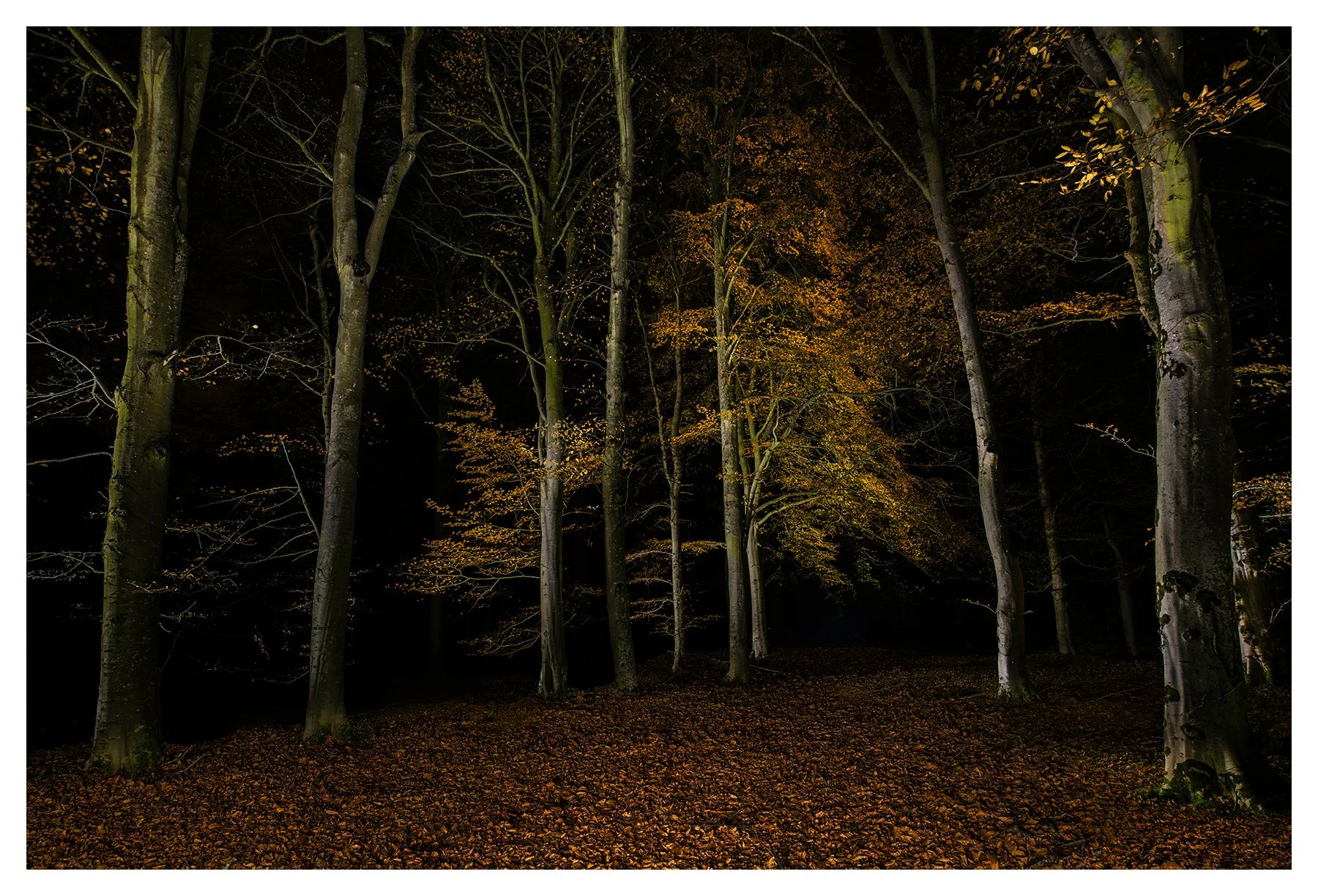 AUTUMN CONCLAVE