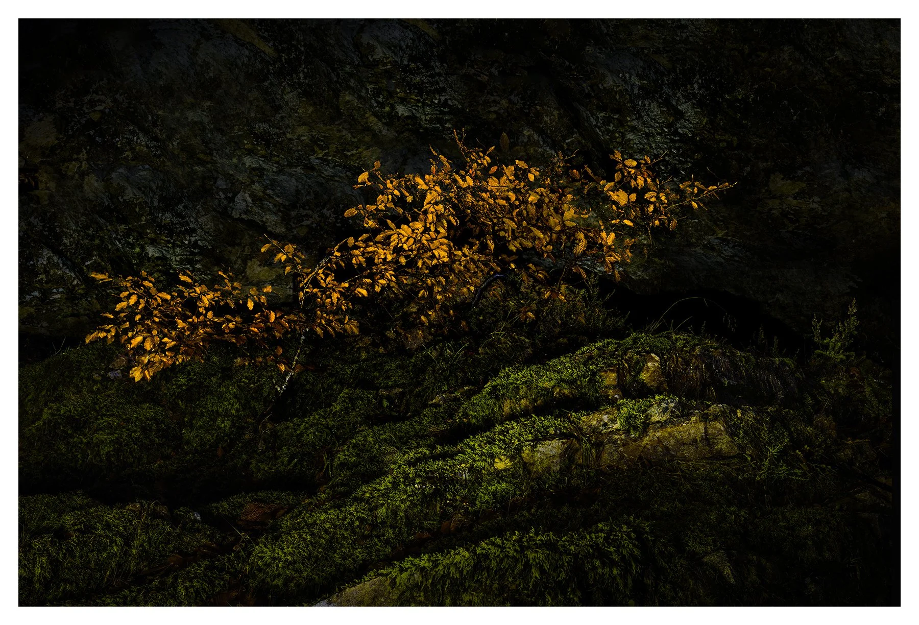 SOLITUDE