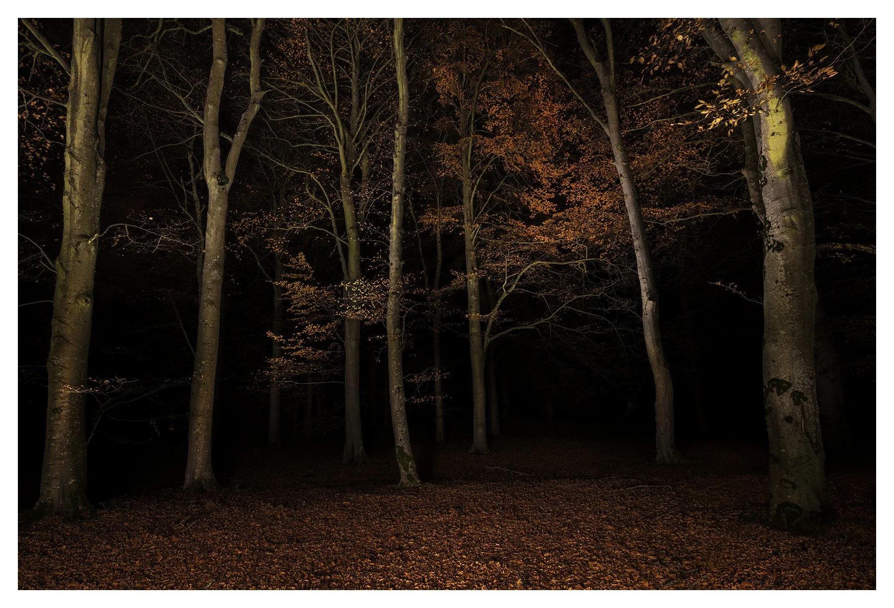 AUTUMN CONCLAVE