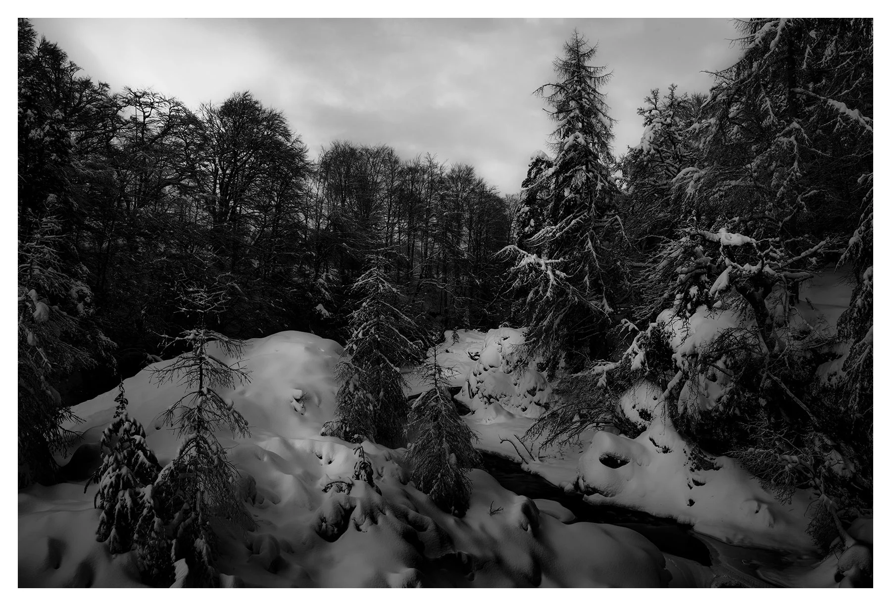 WINTERGLOW