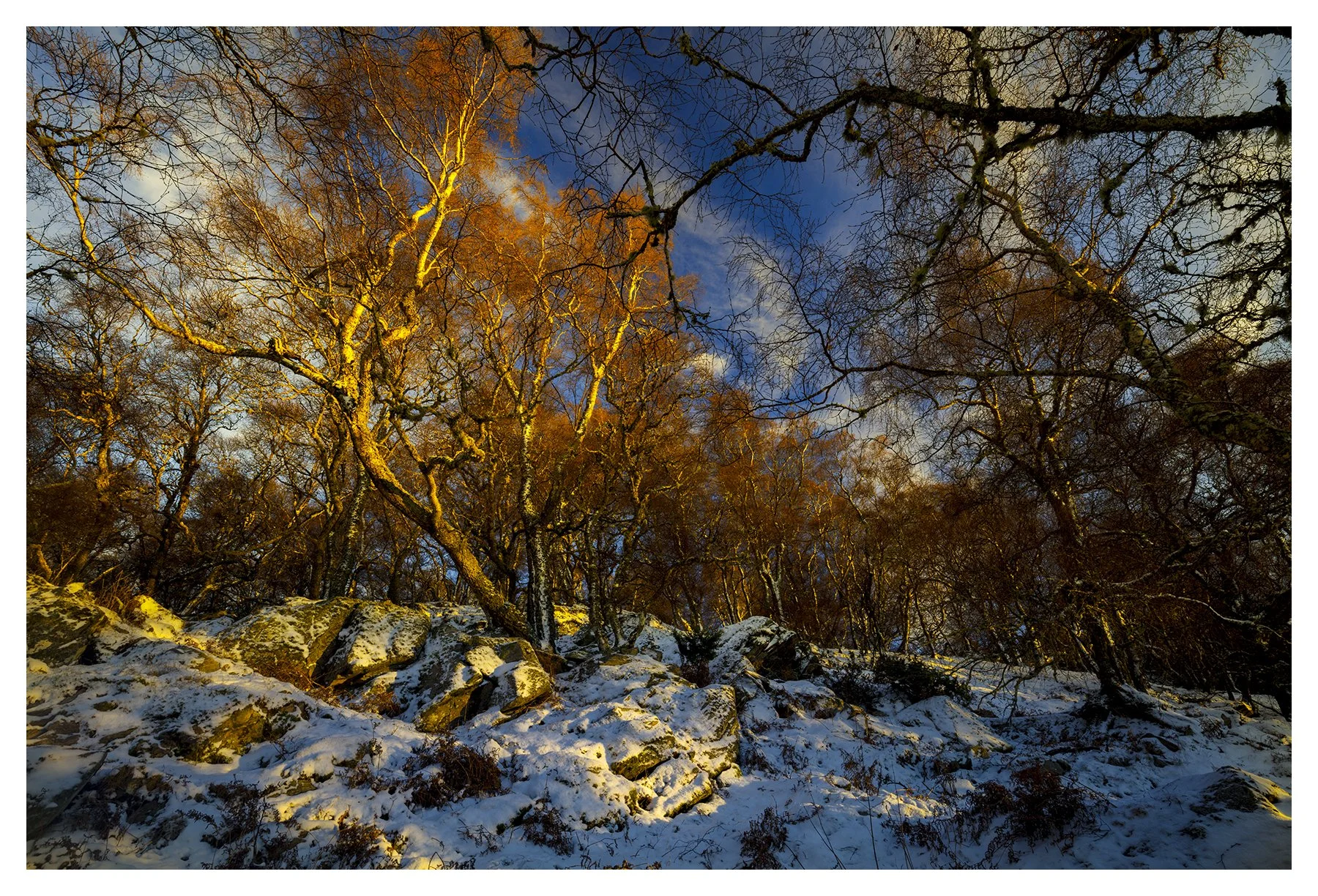 AUTUMN SHADES OF WINTER