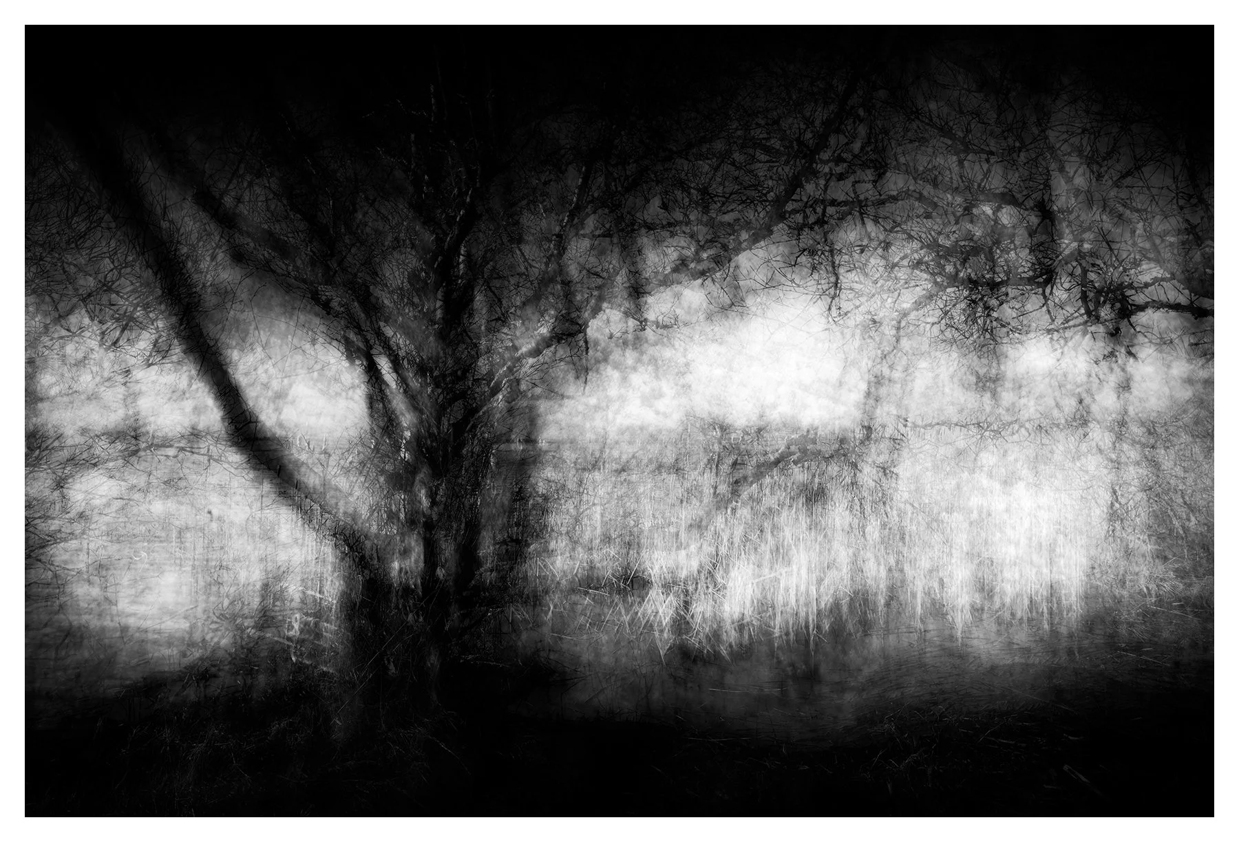SPYNIE SPECTRE