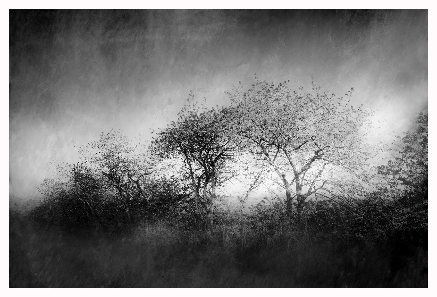 SPECTRAL SPRING