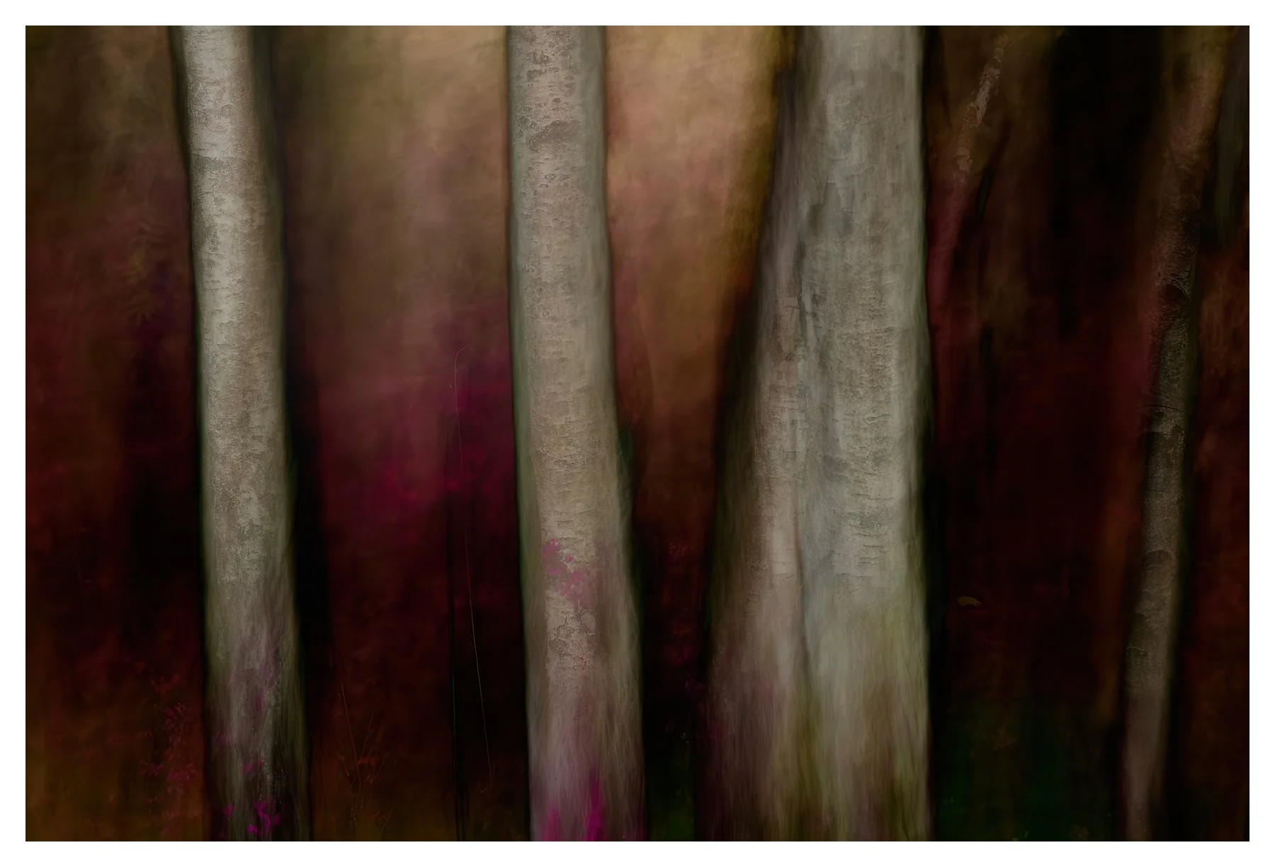 BIRCH HEATHER HAZE