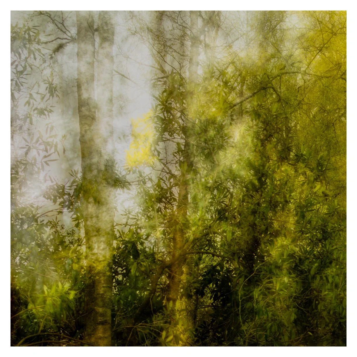  BEECH SPECTRE