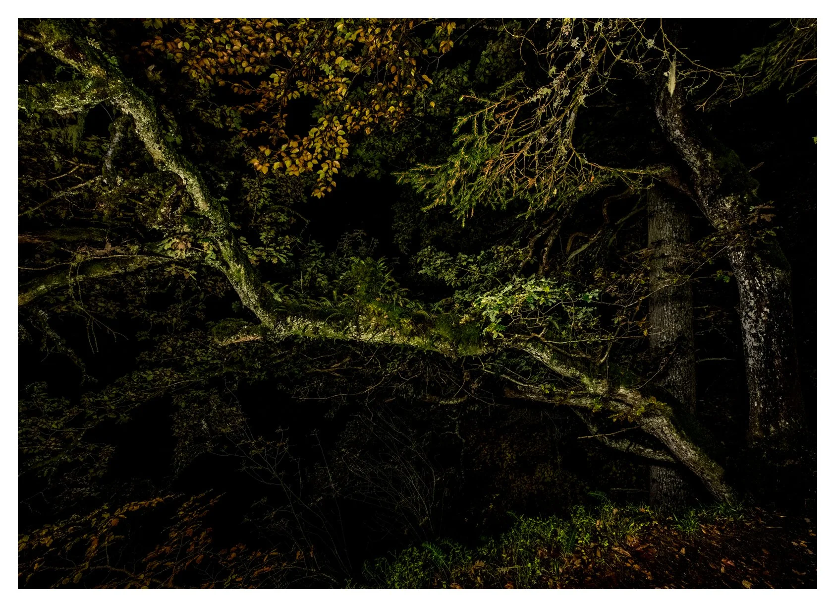 ANCIENT NOCTURN