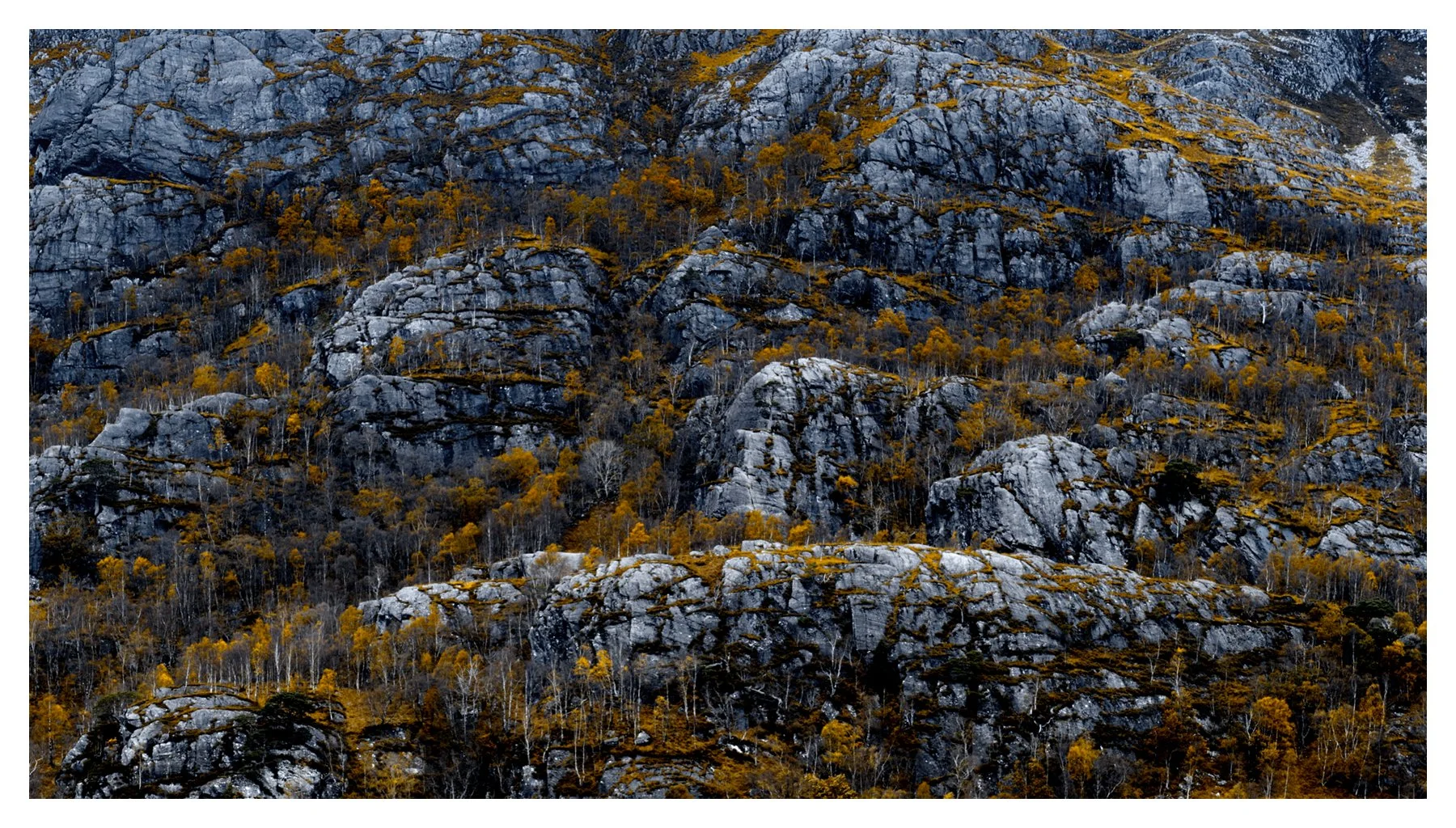 NEVIS TERRACES