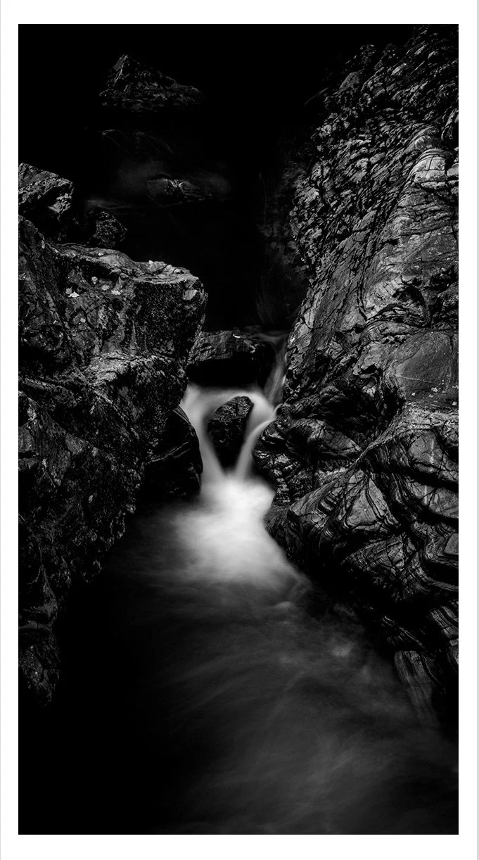 THE CLEFT