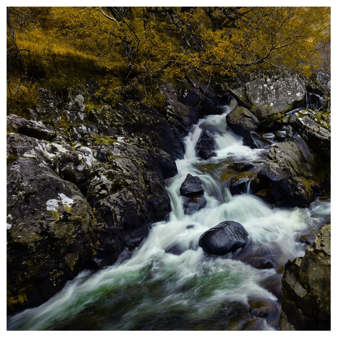 AUTUMN NEVIS