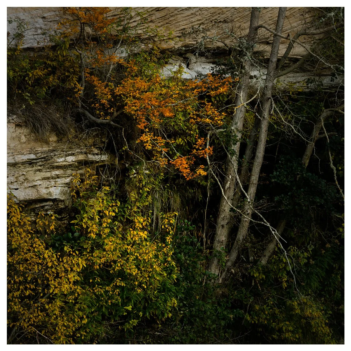 HUES