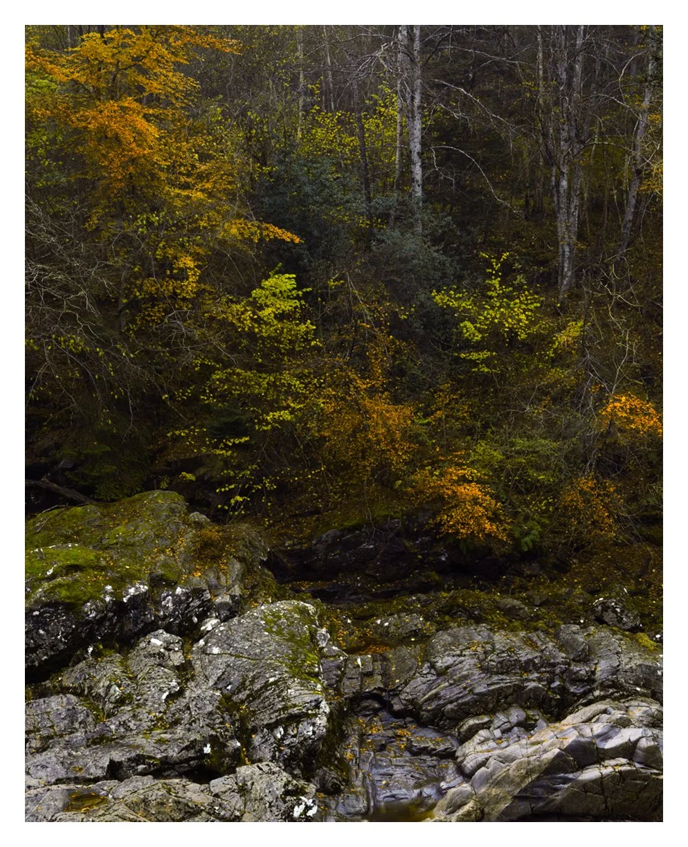  LAST OF AUTUMN.