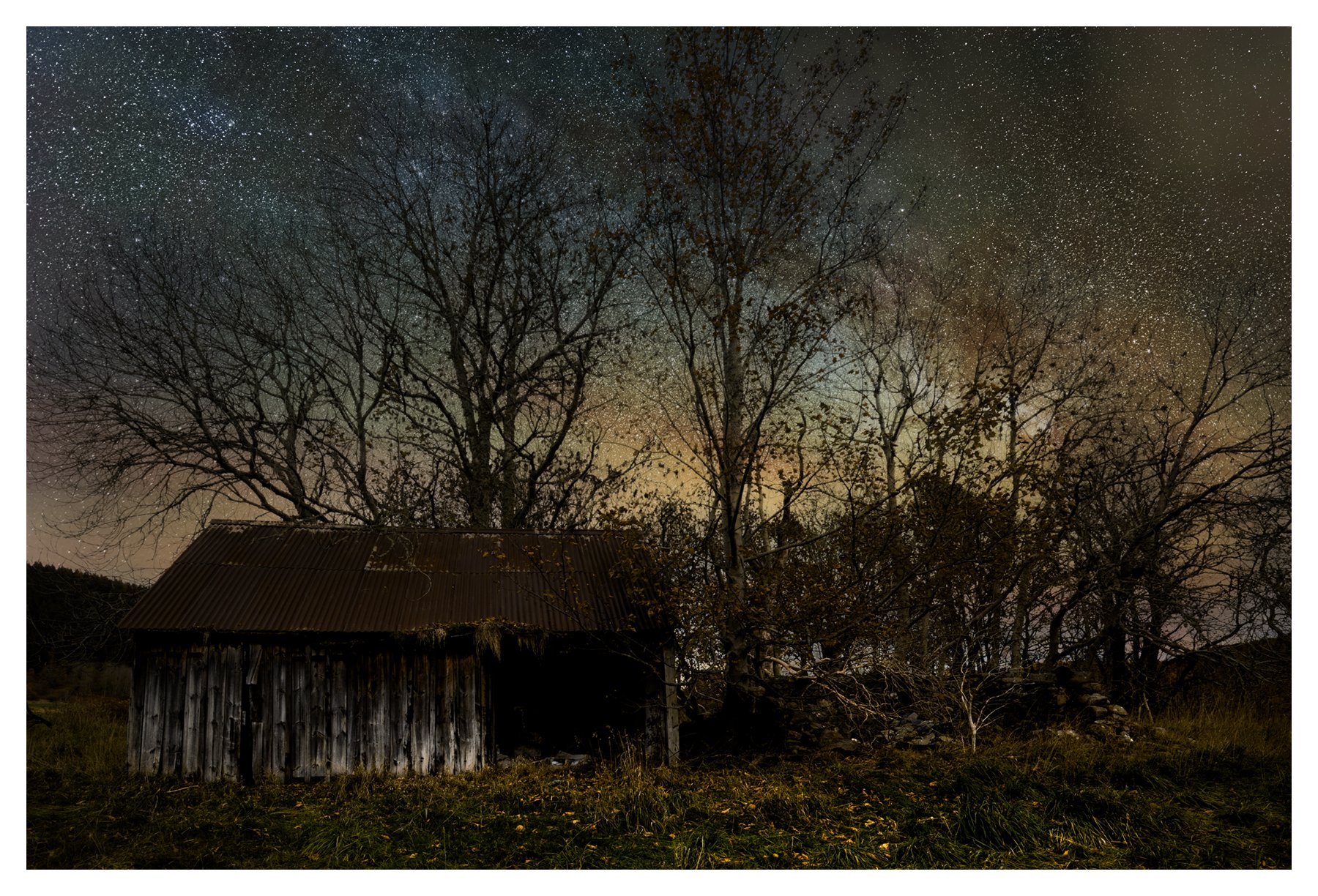  WHITE TREE STARSCAPE