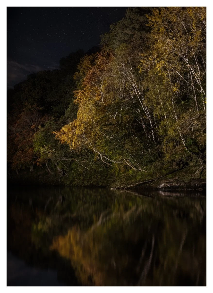 -AUTUMN REFLECTED