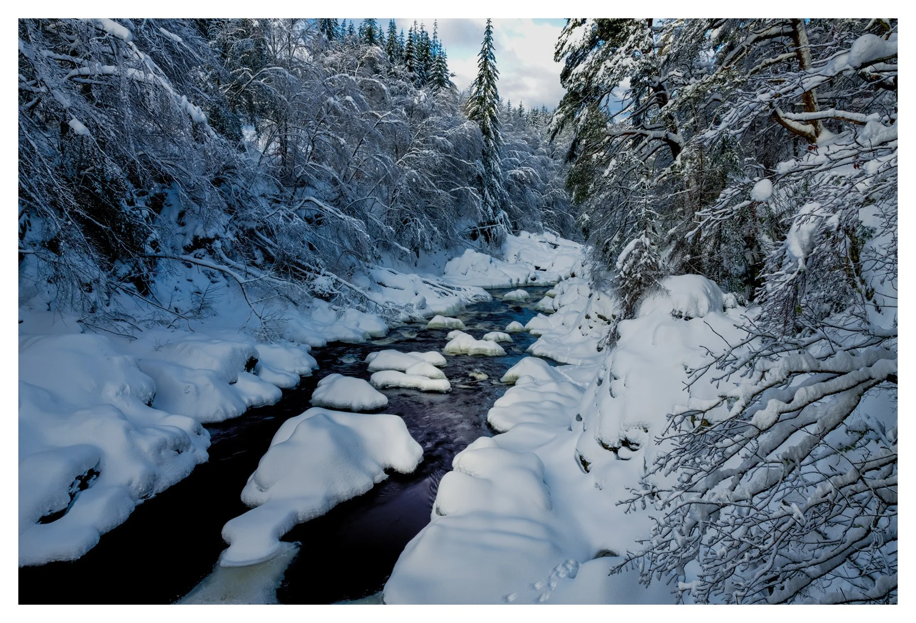 FINDHORN WONDERLAND