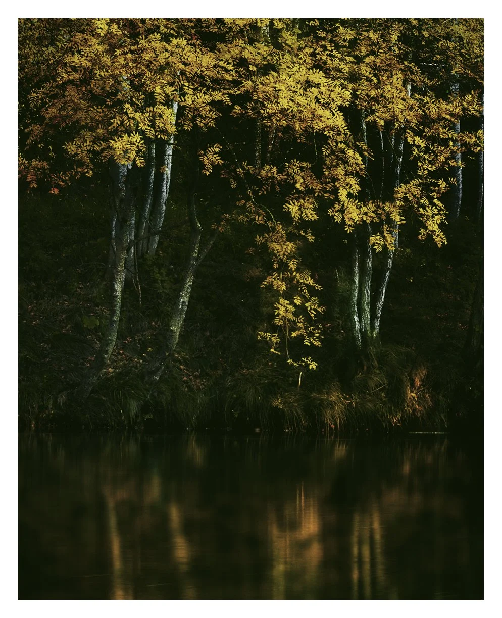 AUTUMN SKUR POOL