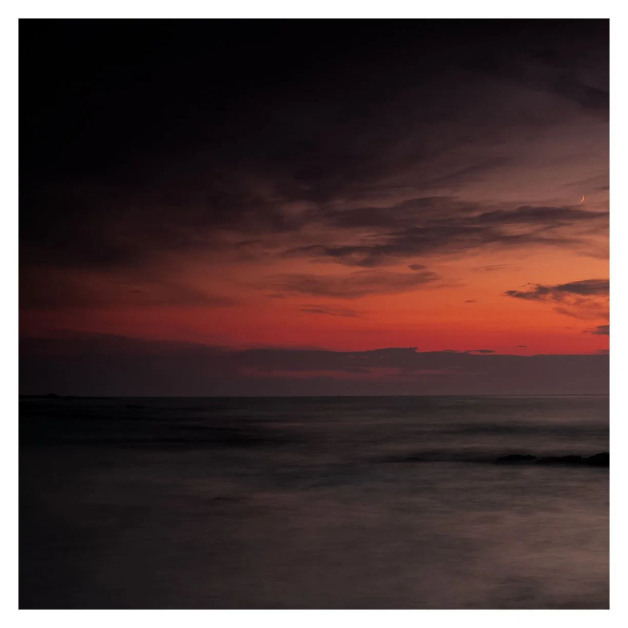 ROSE  TIDE 
