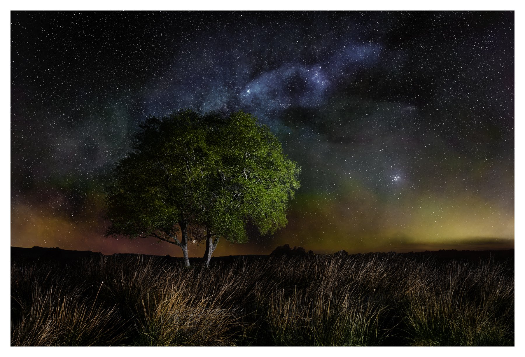 ANCESTRAL DREAM