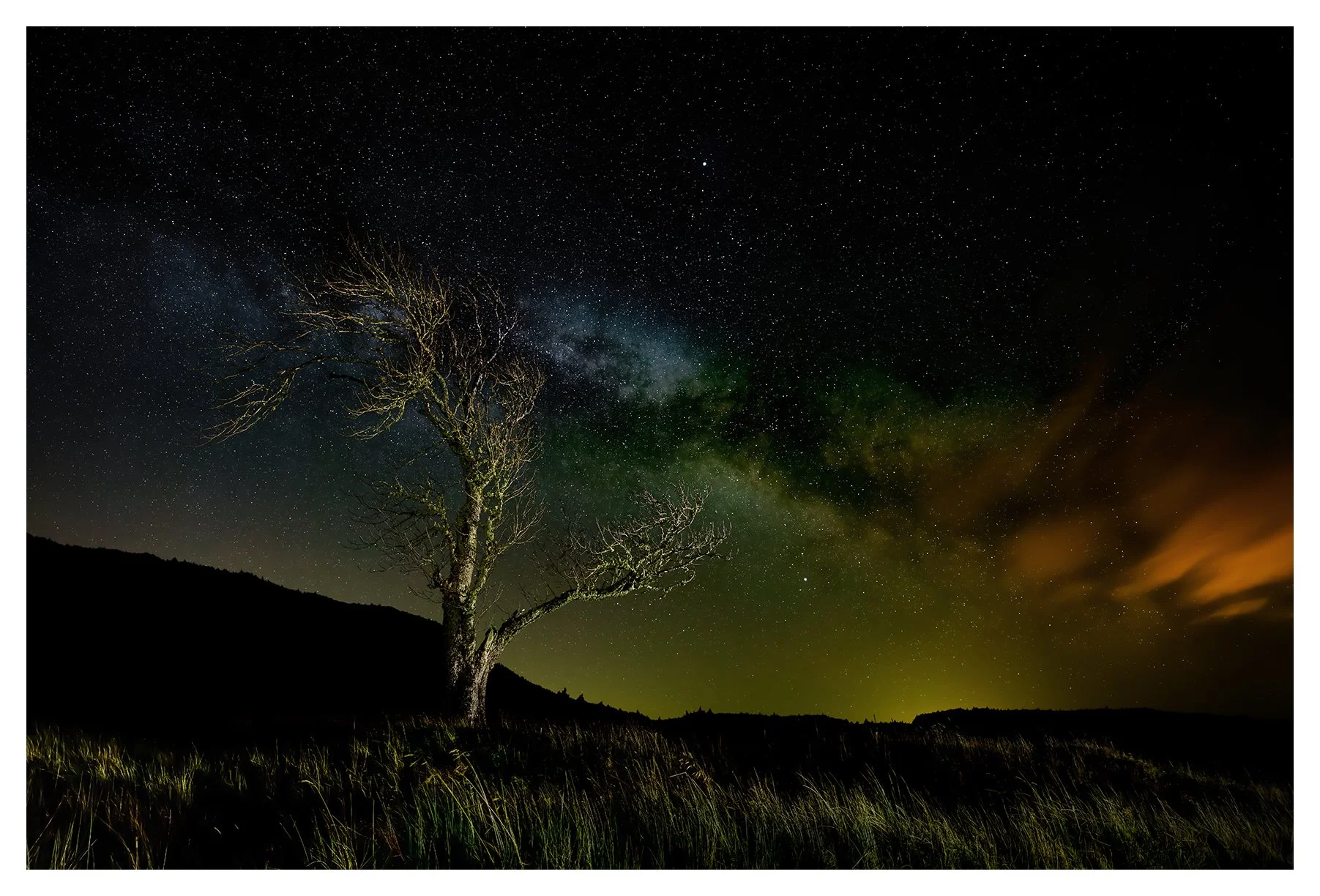 DAVA VIA LACTEA