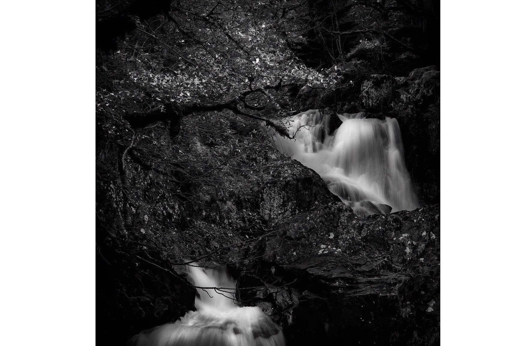 CASCADES IN OAK