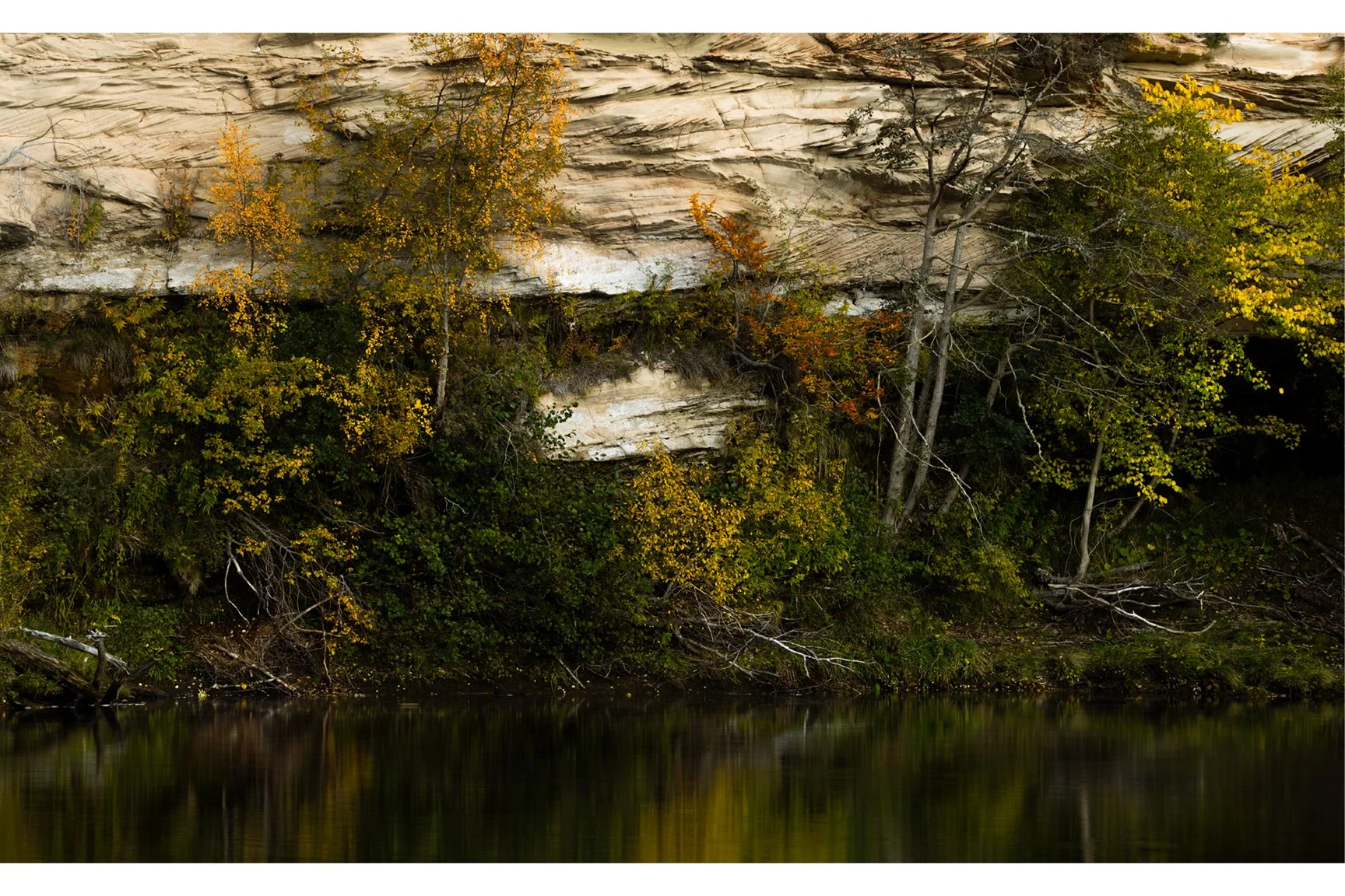 AUTUMN CORNER