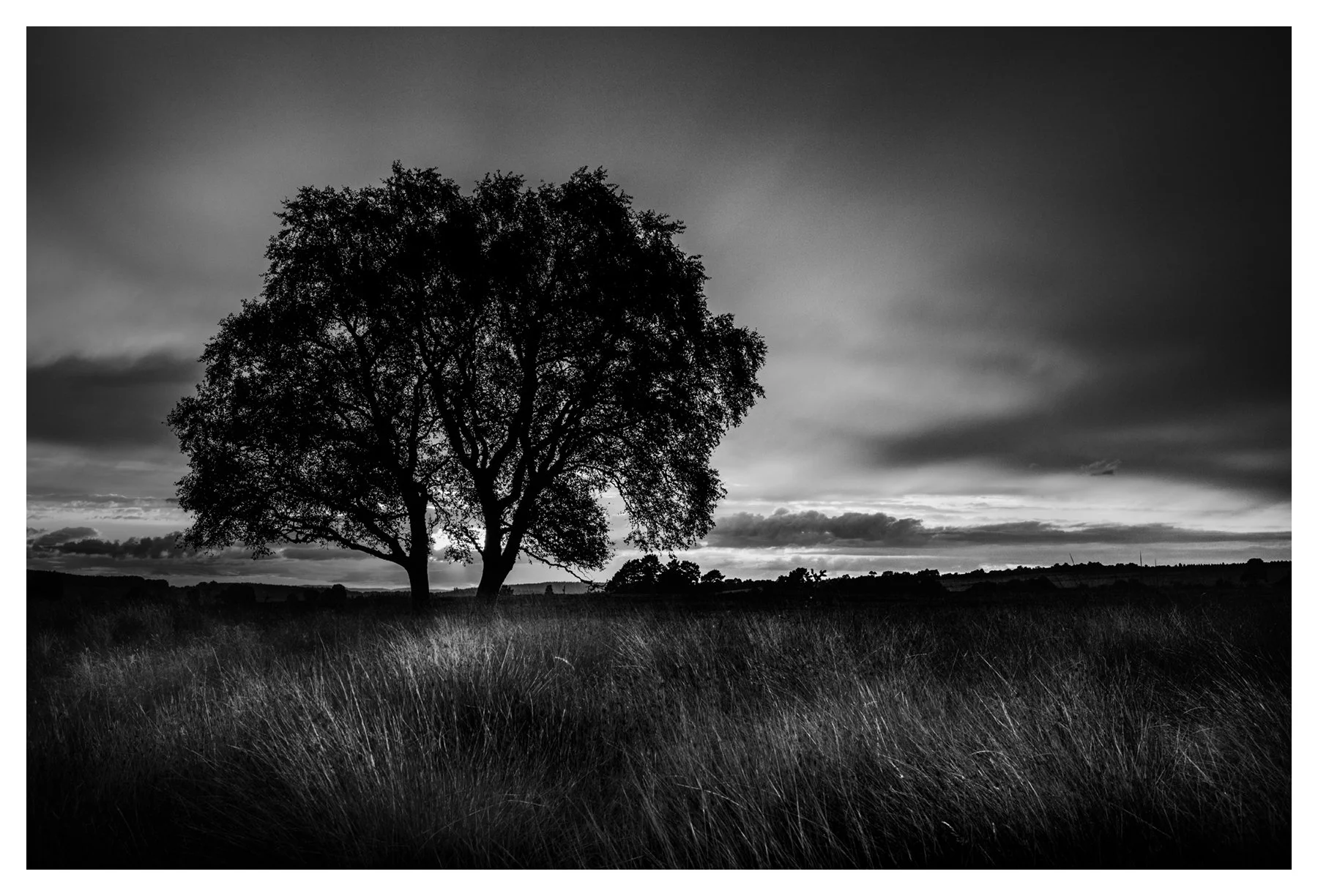 ISMACD_F8A333390 -  AULTAHUISH DUSK   copy.jpg