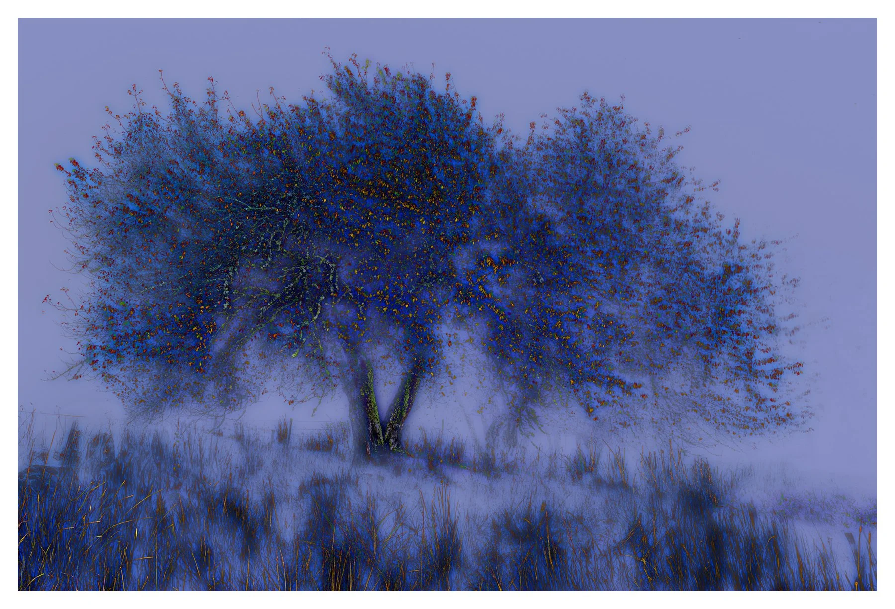 AN EARLY WINTER