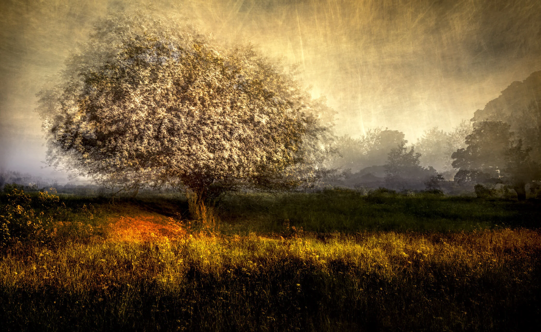 CLOUDBANK-VERNAL-MOOD#1 copy.jpg