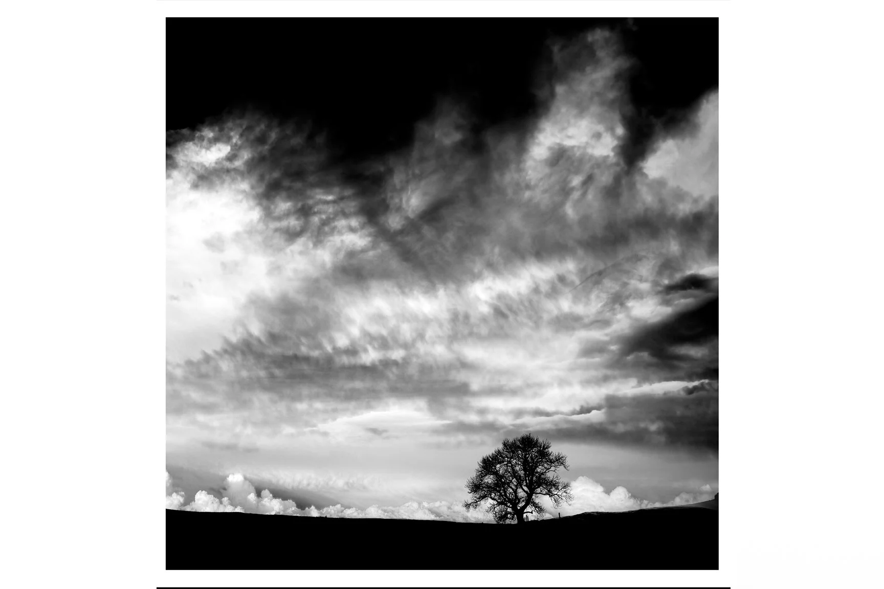 SKY FURY