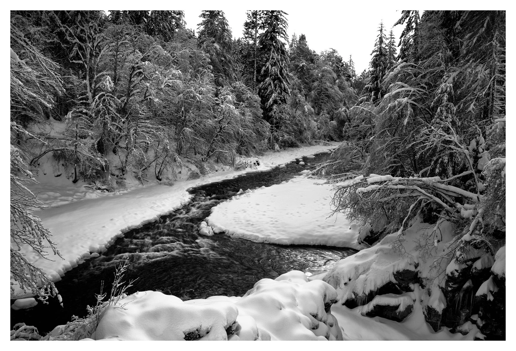 WINTER RANDOLF'S LEAP