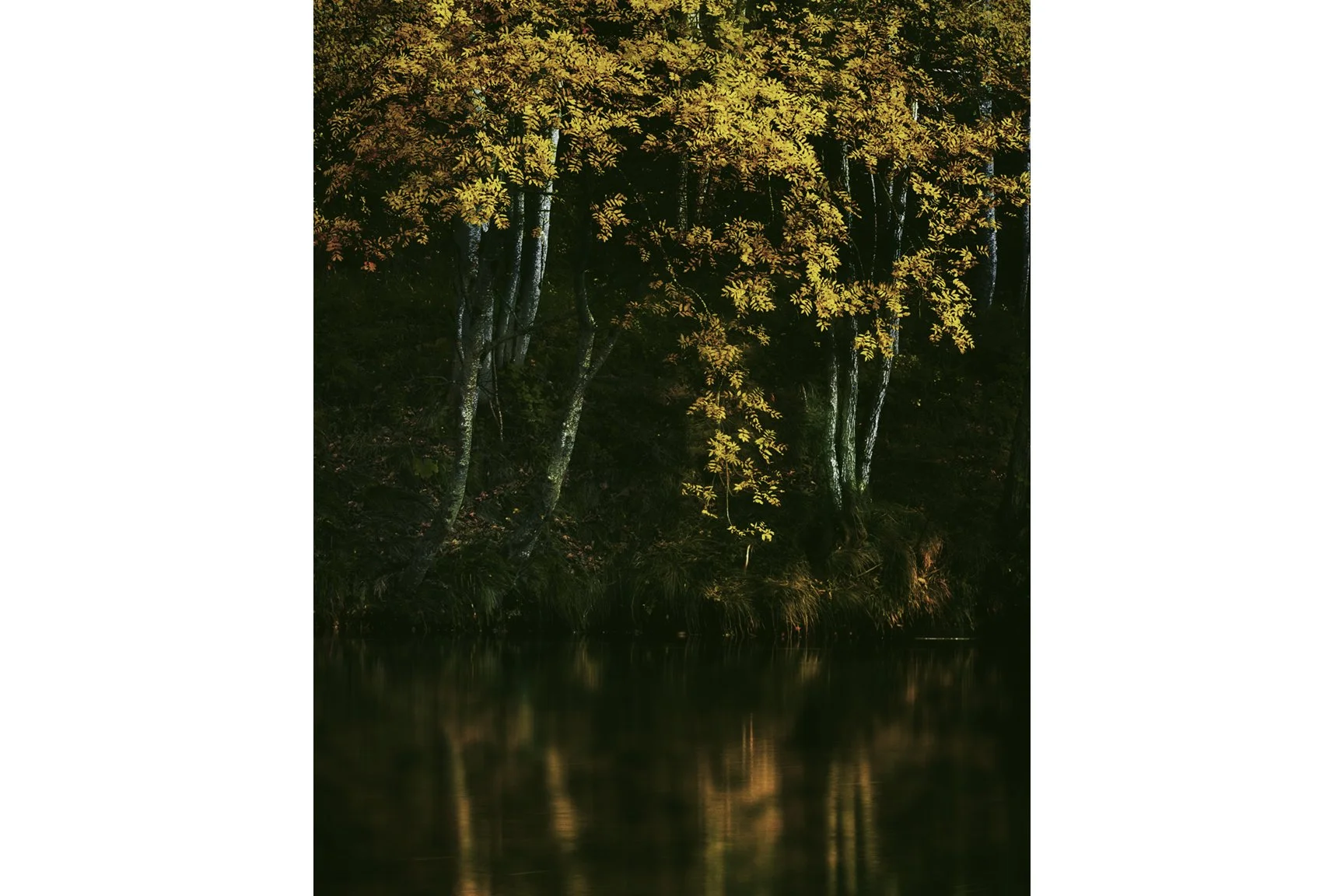 AUTUMN SKUR POOL