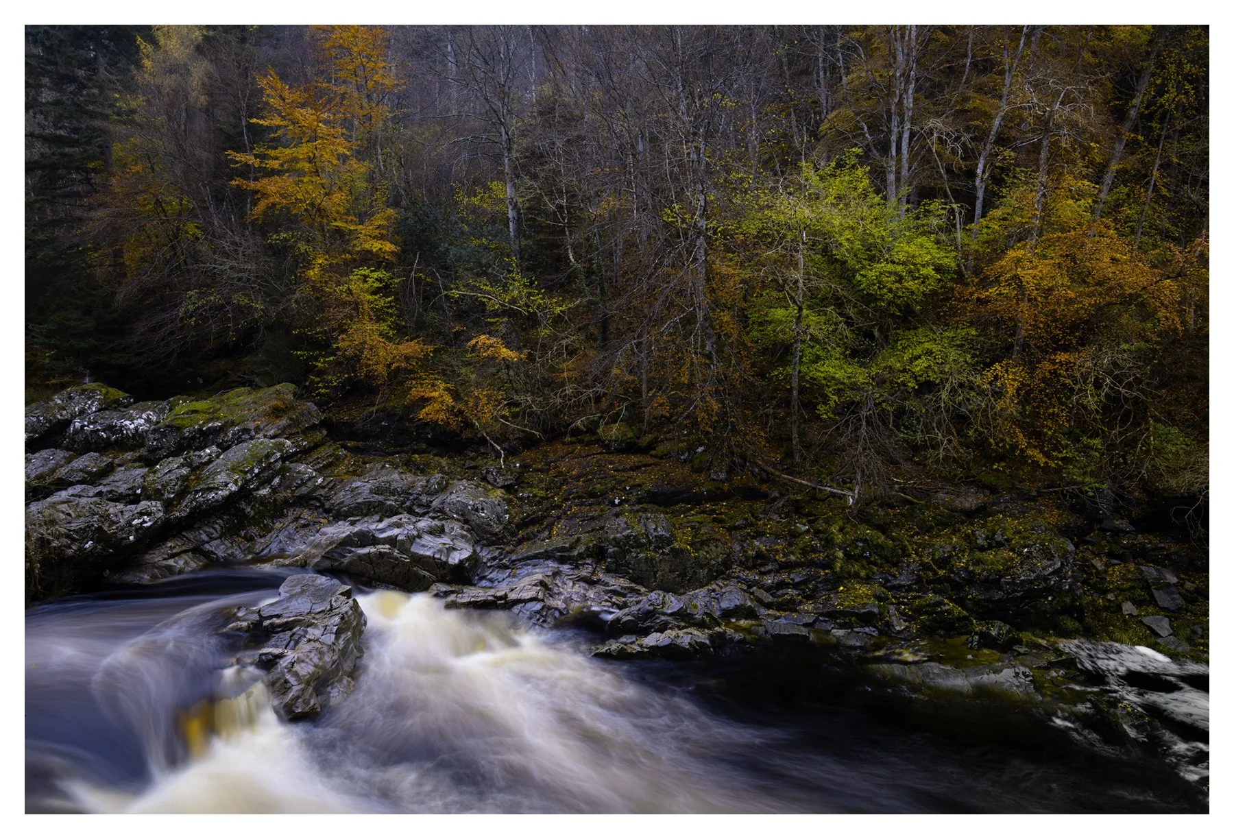 FADING AUTUMN