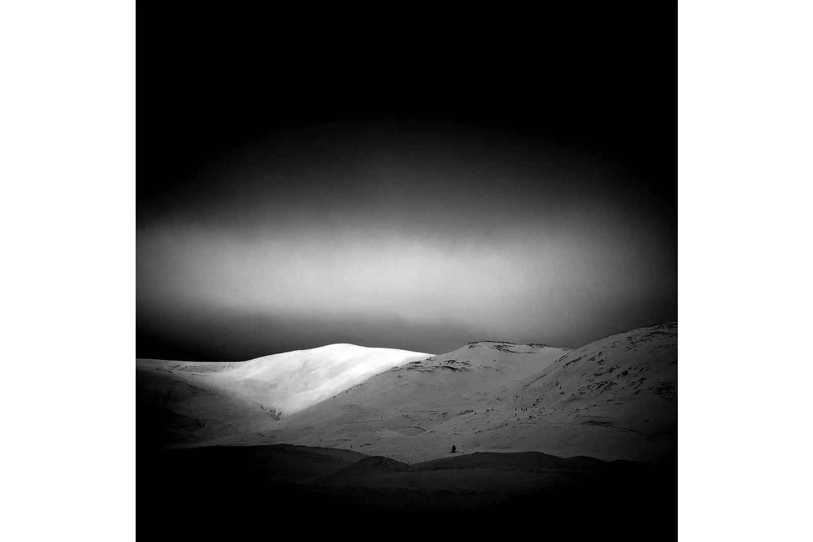 DAVA SOLITUDE