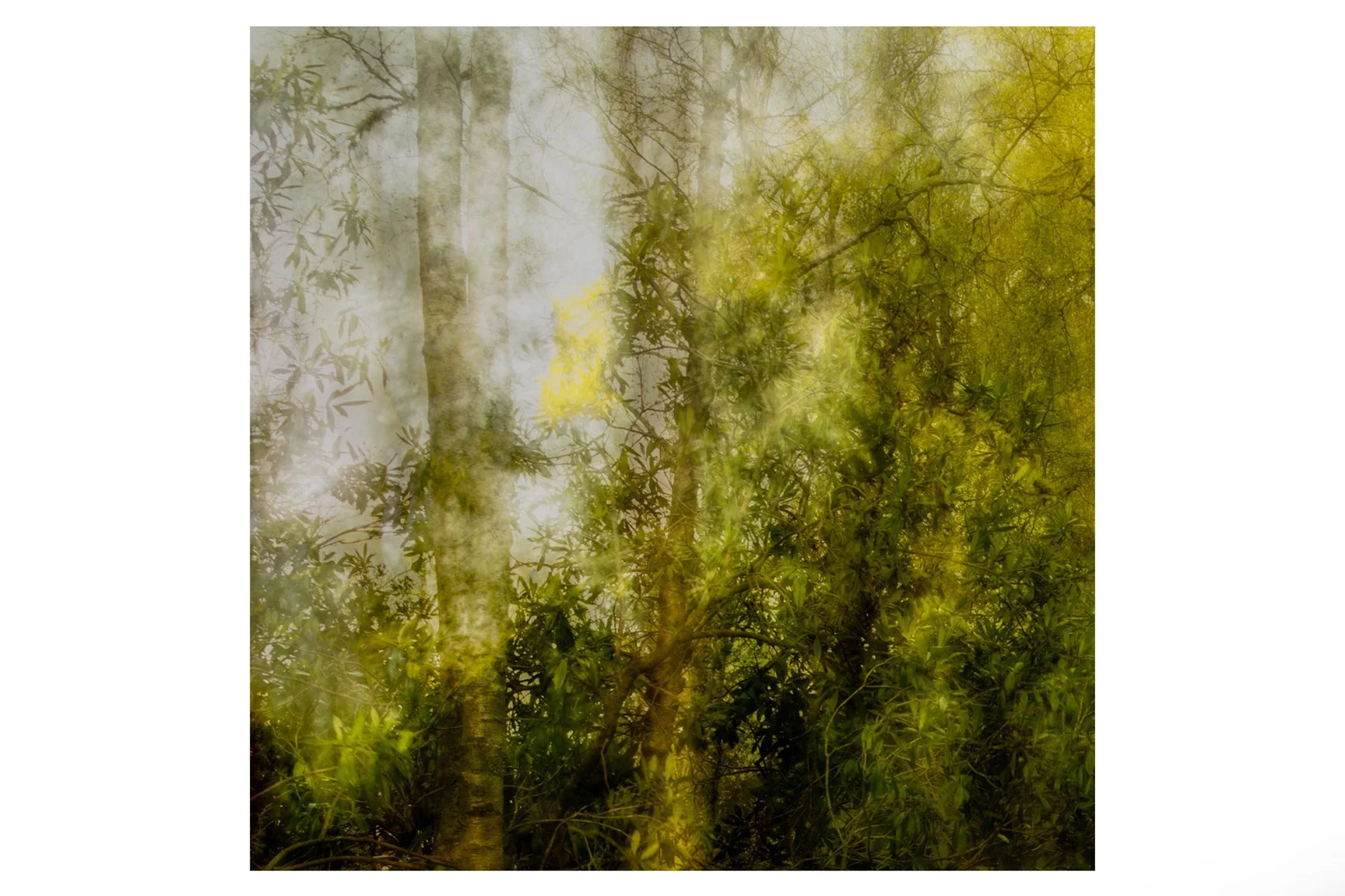 BEECH SPECTRE