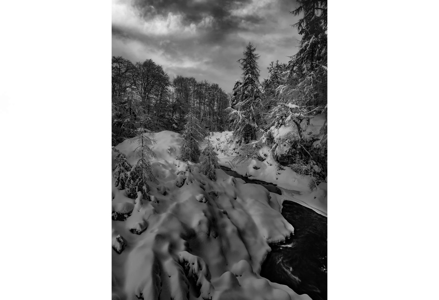 SHADES OF WINTER