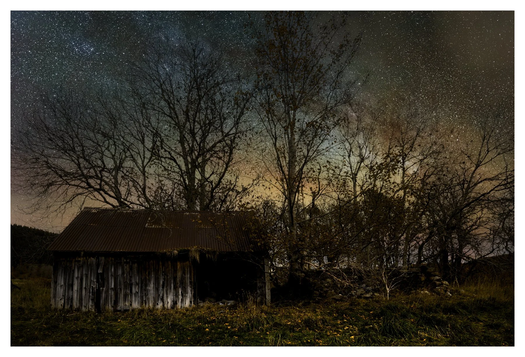 WHITE TREE STARSCAPE