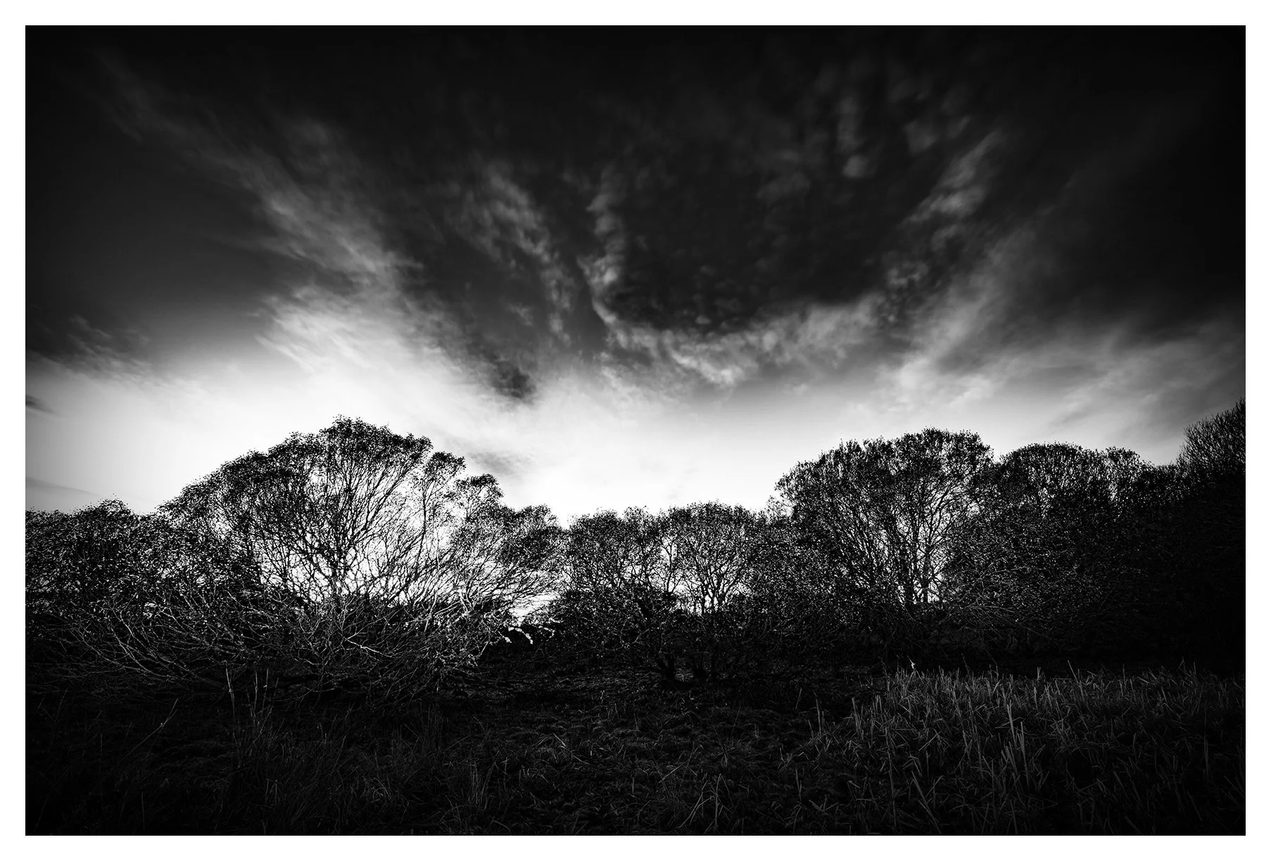 SPYNIE CLOUD FAN