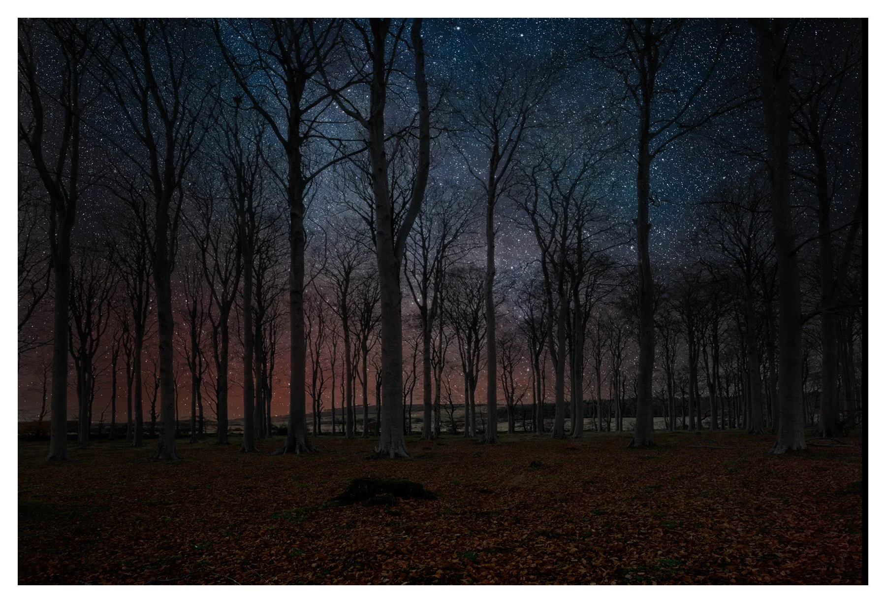 ISMACD_55A1803. - SCARLET BENEATH. copy.jpg