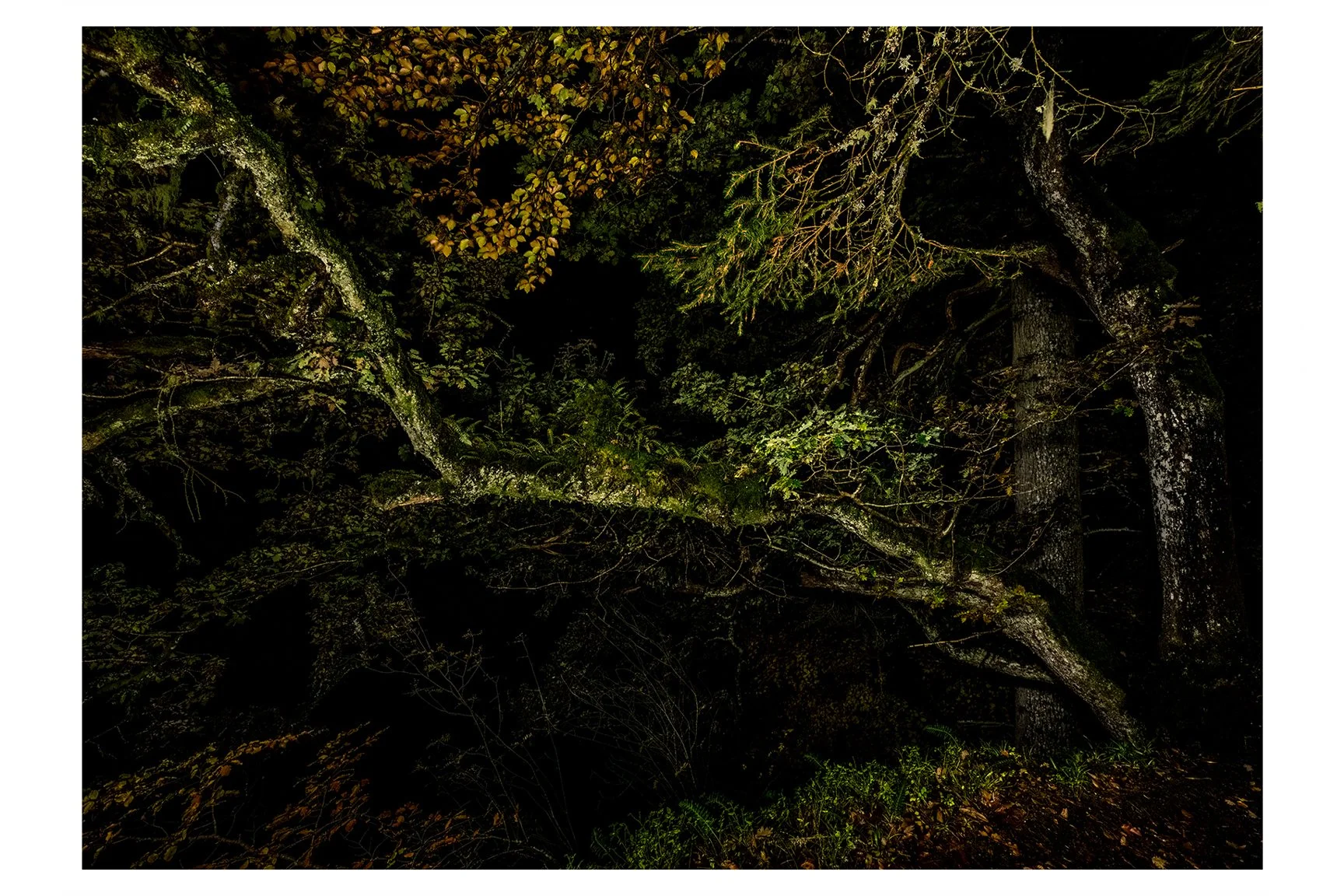 ANCIENT NOCTURN